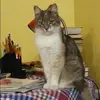 Отзыв от Елена Латышева